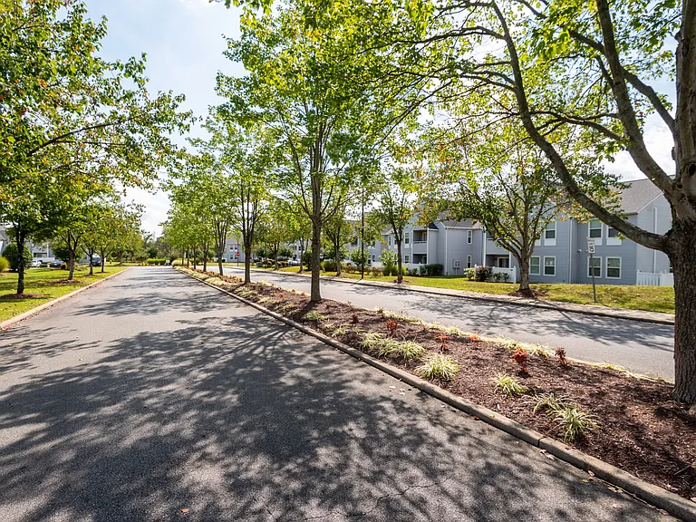 New Forest Apartments — Photo 11