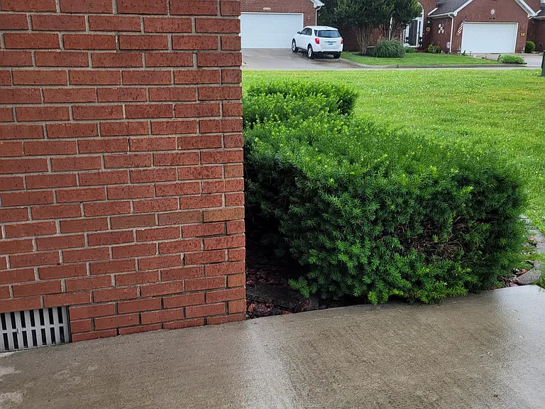 Saint Annes Ct — Photo 30