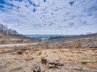 0 Bishoptown Rd, Duffield, VA 24244