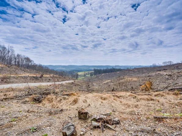 0 Bishoptown Rd, Duffield, VA 24244
