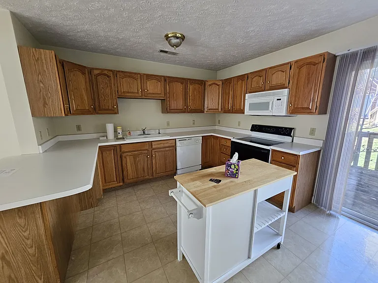 315 Silver Leaf Dr — Photo 19