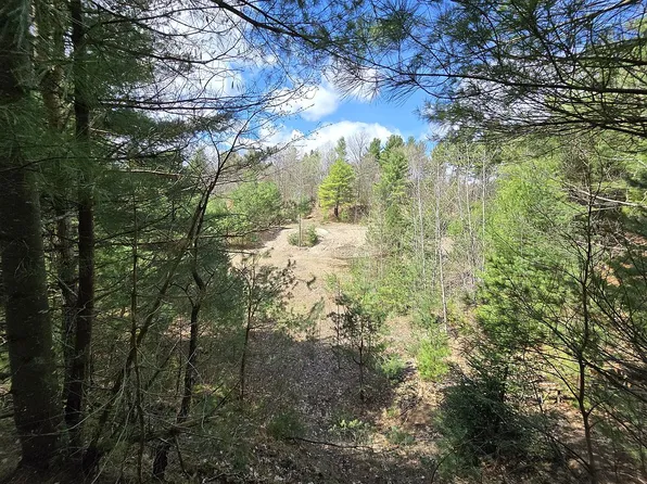 13612 Lewisburg Rd, Natural Bridge, NY 13665