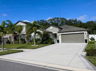 4944 Wild Senna Blvd, Tampa, FL 33619