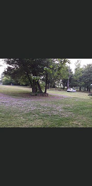 2nd image of 539 S Cedar Ave