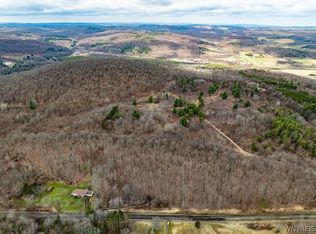 8154 S Canada Hill Rd LOT 13, Machias, NY 14101