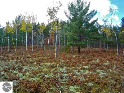 13517 Harmony Ln, Fife Lake, MI, 49633