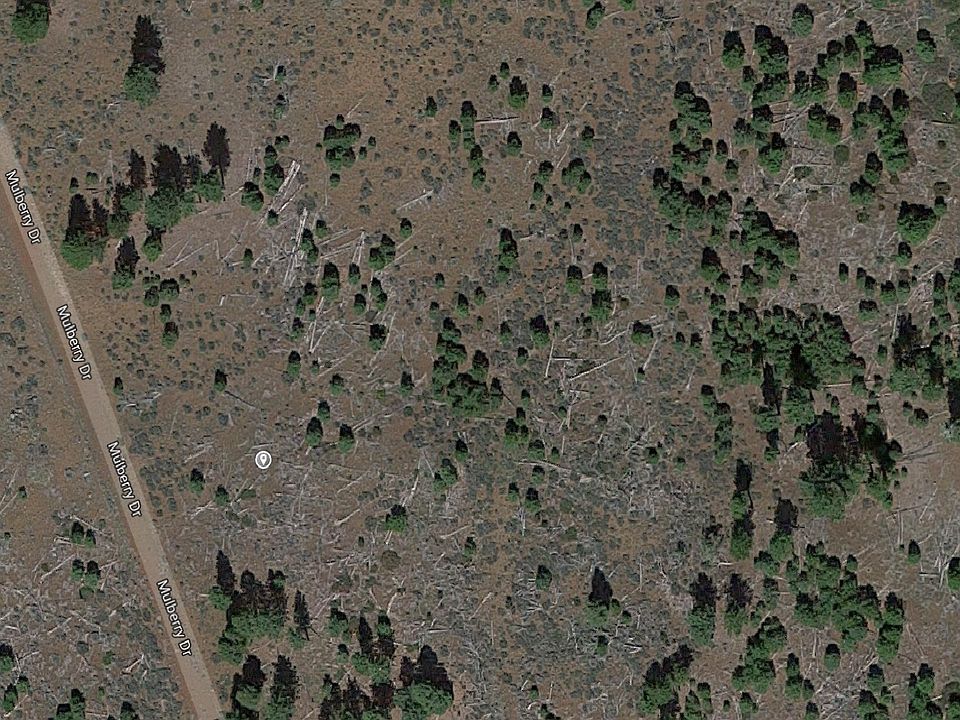 1st image of Mulberry Dr