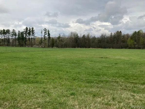 (undisclosed Address), Franklinville, NY 14737