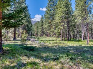 303 Black Bear Ln, Hamilton, MT 59840