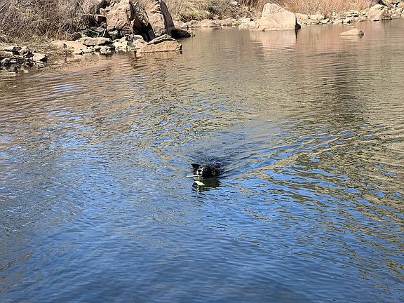 3rd image of 0 Longmont Dam Rd #2