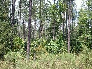1st image of 7701 Pinehurst Ln