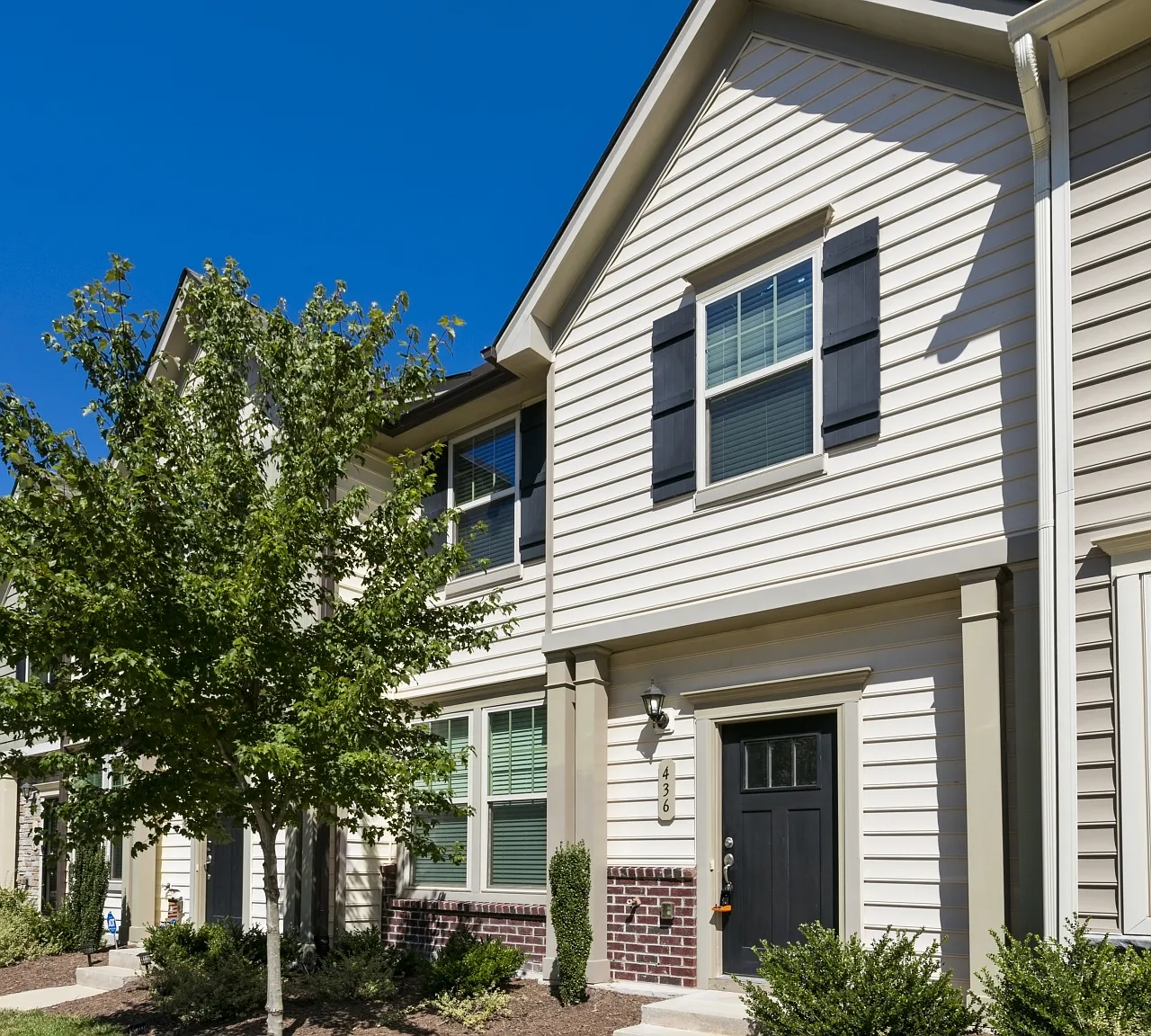 436 Carthage Ct — Photo 3