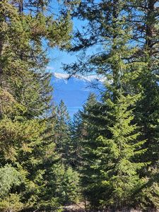 169 Wulff Ln, Lakeside, MT, 59922