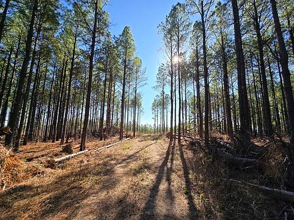 2nd image of 18 Heavener