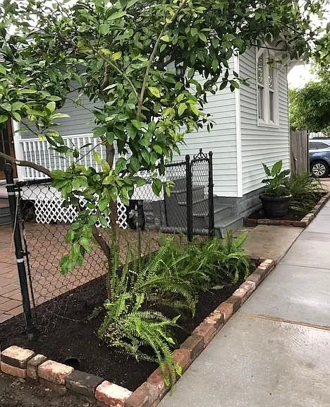 3725 Cleveland Ave — Photo 4