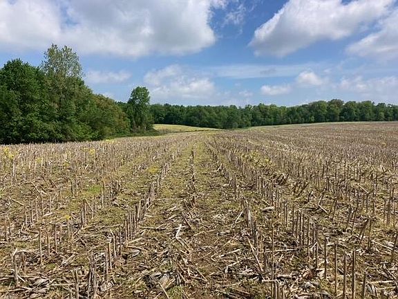 5th image of 0 County Road 13