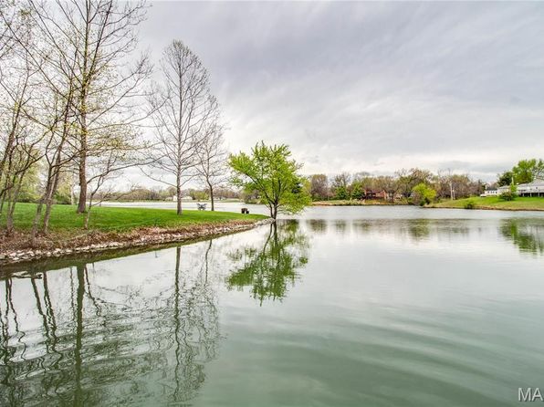 16385 Boxwood Ct, Brighton, IL 62012