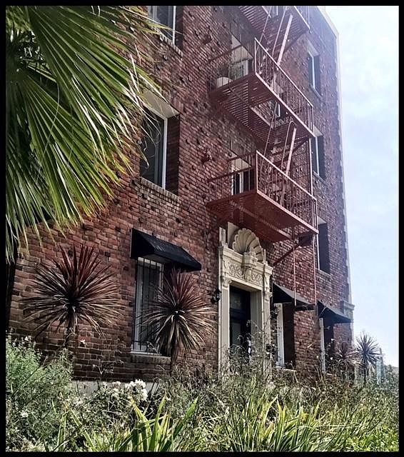 1st image of 306 S El Molino Ave APT 303