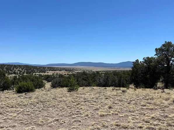47 Golden Horseshoe Trl, Quemado, NM 87829