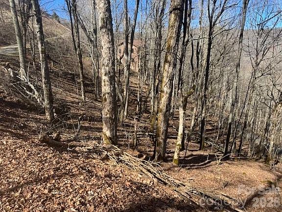 2nd image of 11 Zebulon Ln