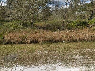 10675 Weatherby Ave, Hastings, FL, 32145