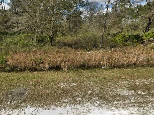 10675 Weatherby Ave, Hastings, FL 32145