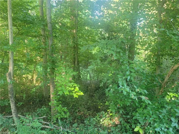 8025 Pine Hall Rd, Belews Creek, NC 27009