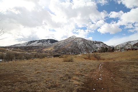 Views across the park