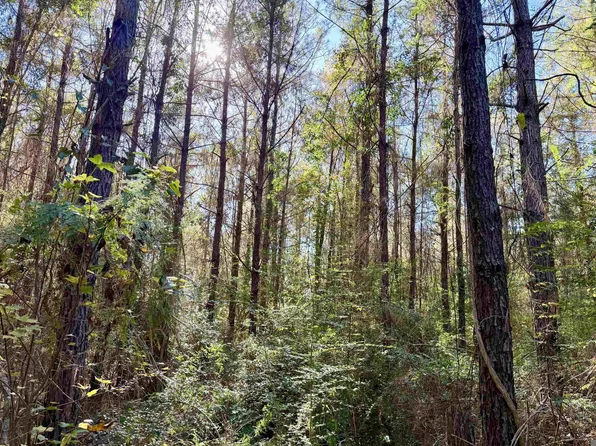 1 Bobcat Trl, Amite, LA 70422