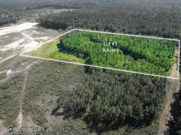 3 Sulphur Springs Rd, Canton, MS 39046