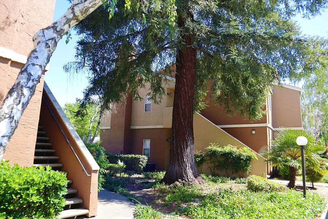 Willow Grove — Photo 3