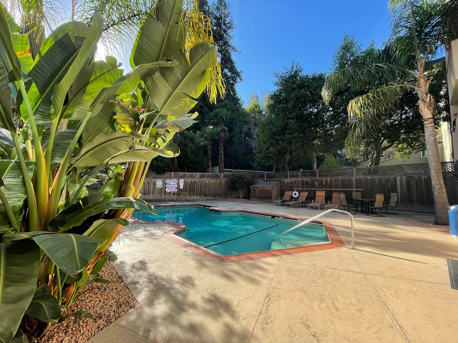The Ambassador — Photo 3