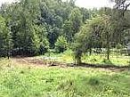 5th image of 1030 White Oak Creek Rd
