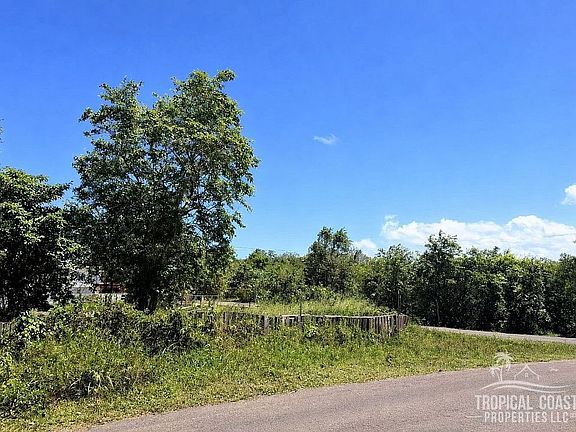 3rd image of Bo Jobos Isabela