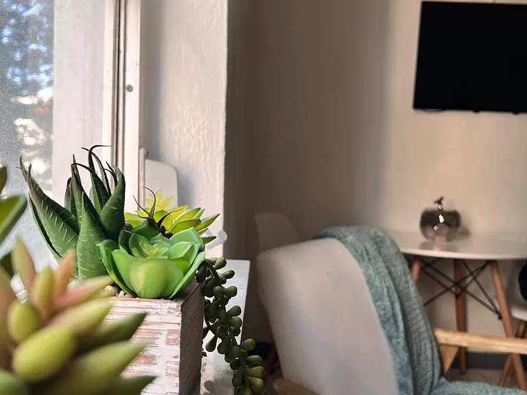 1100 Collins Ave #308 — Photo 3