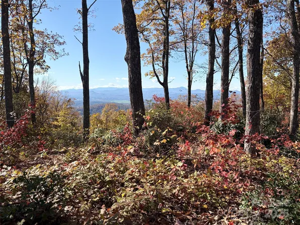 64 Feather Stone Dr, Fletcher, NC 28732