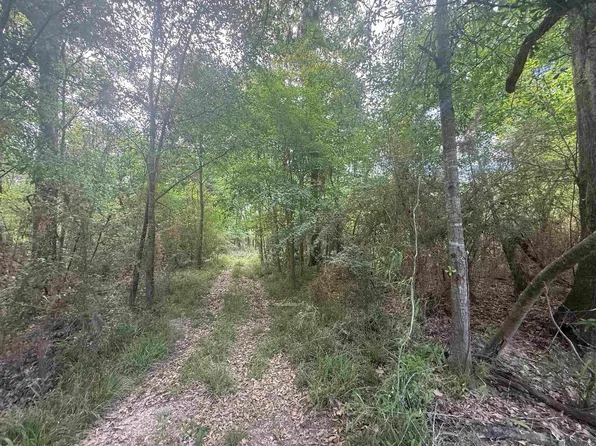 LOT 138 Amite River Rd, Baton Rouge, LA 70817