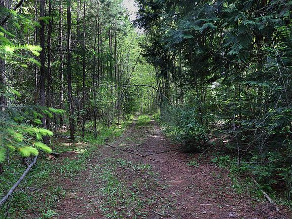 4th image of 16882/16912 Highway 31