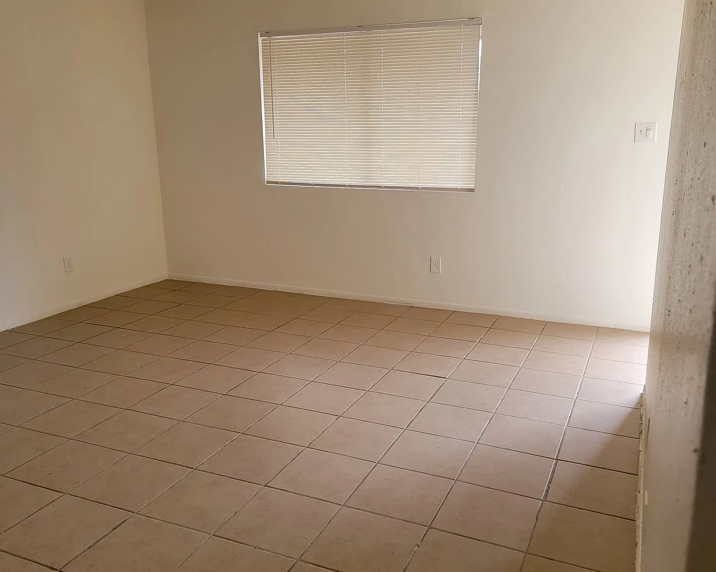 Casa Blanca — Photo 4