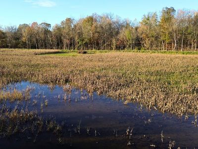 129 Tom White Rd, Big Sandy, TN, 38221