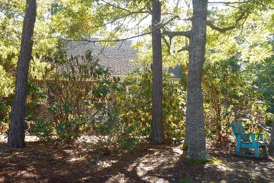 2nd image of 119 Elain Ave