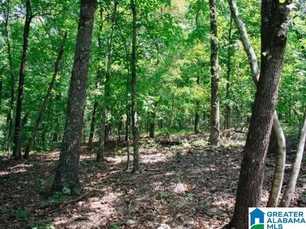 0 Mountain View Ter #11, Talladega, AL 35160