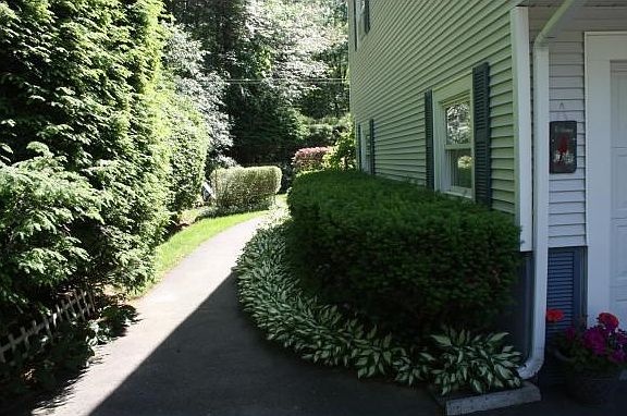 Left side of the house