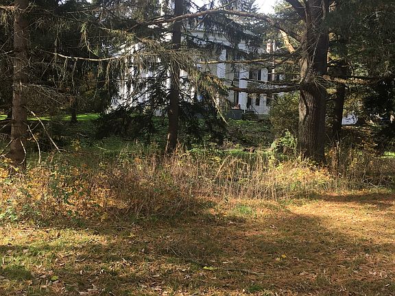 creekside view up to house