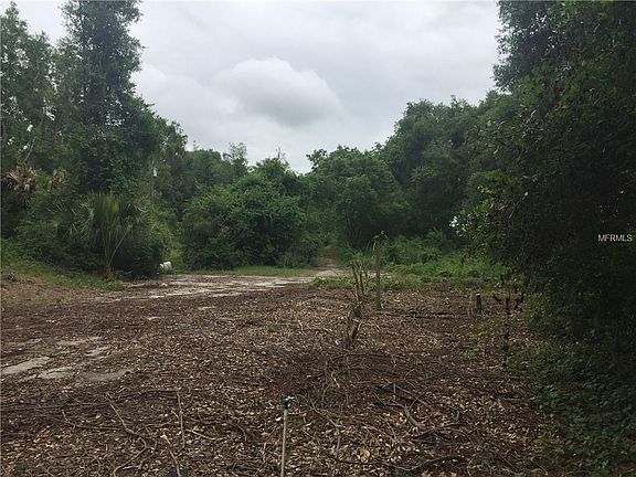 4th image of 1909 Section Dr