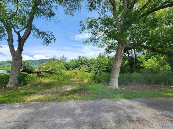Judge Dr, Scottsboro, AL 35769