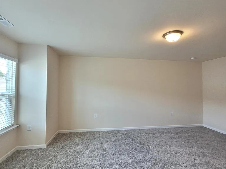 234 Ribbon Rail St — Photo 27