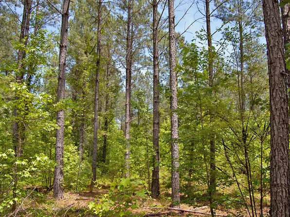 G F Ball Rd Lot N, Louisburg, NC 27549