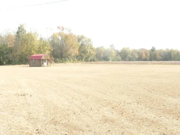 6239 Bloomville Rd, Manning, SC 29102