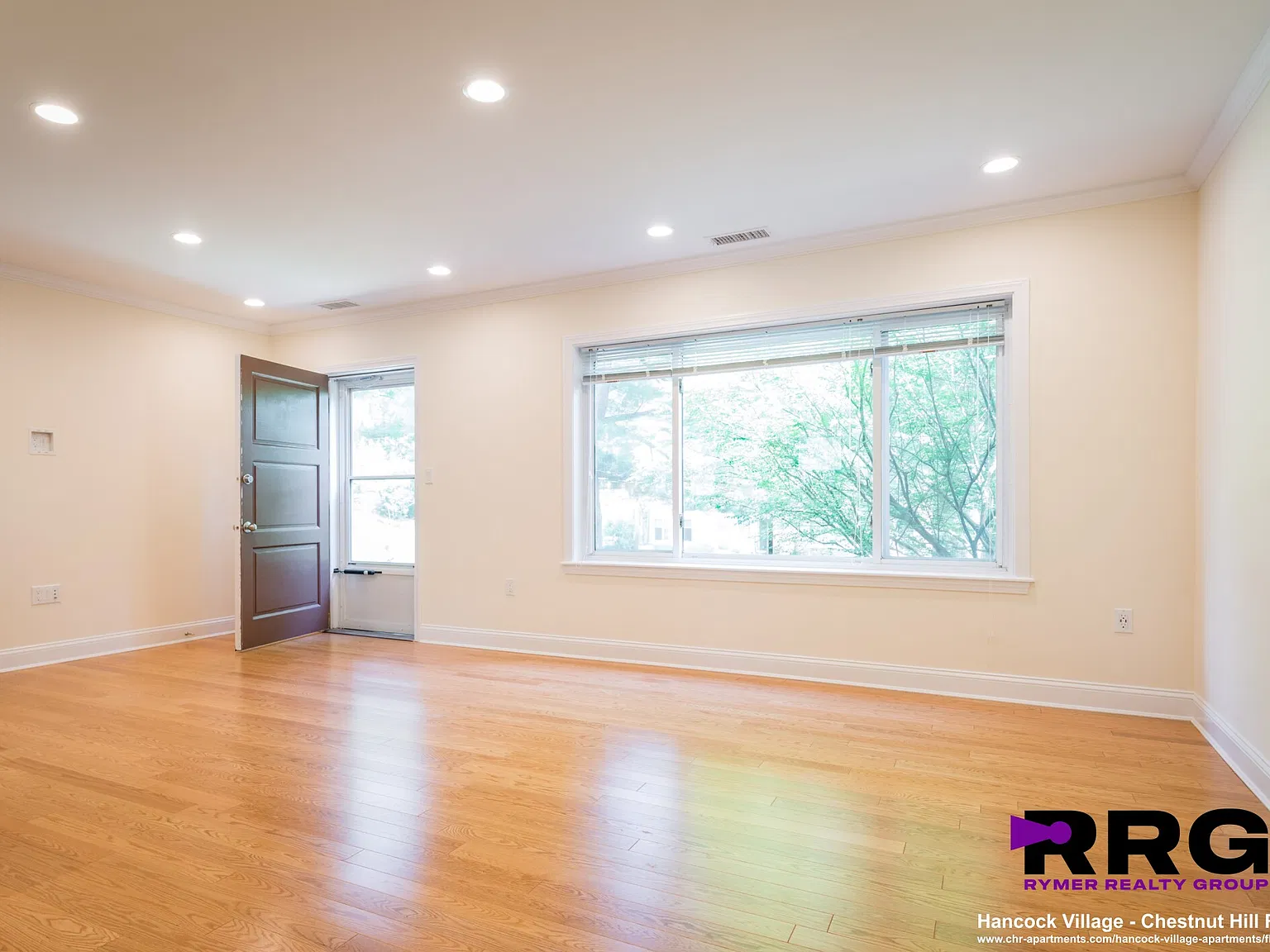 2 bed, 1.0 bath, 911 sqft, $3,445 — Photo 2